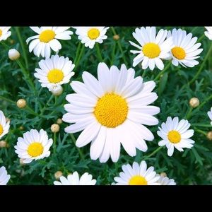 Meet your Posher, Karina